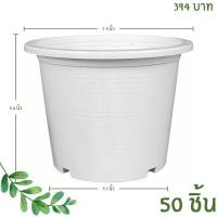 ราคา กระถาง กระถางต้นไม้ ทรงกลม เบอร์ 8 7.5 นิ้ว สีขาว (26660335734)