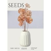 ราคา ดอกไม้แห้งประดับประดิษฐ์จากเมล็ดพันธุ์จากธรรมชาติ (42173092135)