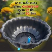 ราคา อ่างบัวเลี้ยงปลา สีดำท่อล้นสีฟ้า ขนาด 21 นิ้ว ระบบoverflow จุน้ำได้ 50 ลิตร อ่างเลี้ยงปลา อ่างปลา อ่างเลี้ยงปลาหางนกยูง (51701019201)