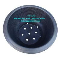 ราคา (1-4ใบ) papamami กระถางชวนชม มีรู - สีดำ 12นิ้ว กระถางบอนไซ อ่างชวนชม กระถางพลาสติก กระถางต้นไม้ กระถางดอกไม้ อ่างปลูกต (4964863694)