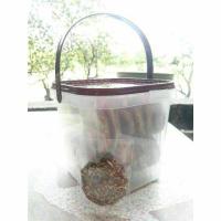 ราคา **แบบกล่อง30ชิ้น**คุกกี้หนูแกสบี้/คุกกี้กระต่าย [คุกกี้หญ้าแพงโกล่า] คุ๊กกี้หญ้าอาหารกระต่าย (4017724603)