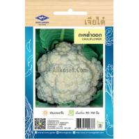 ราคา เมล็ดพันธ์ กะหล่ำดอก เจียไต๋ (22872969422)