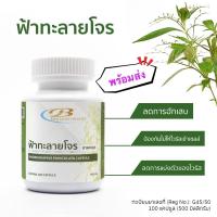 ราคา พร้อมส่งฟ้าทลายโจร ฟ้า ทะลาย โจร ชนิดแคปซูล บรรจุ 100แคปซูล500mg (8085594896)