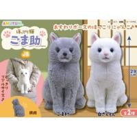 ราคา Stuffed Animal AMUSE Amufun Gomasuke Shirozaemon Fluffy Cat Plush ตุ๊กตา แมว ขาว ลิขสิทธิ์แท้จากญี่ปุ่น (40560576994)