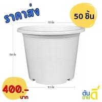 ราคา กระถาง กระถางต้นไม้ ทรงกลม เบอร์ 8 7.5 นิ้ว สีขาว (18943943372)