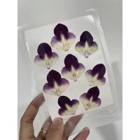 ราคา แกนกลางของดอกกล้วยไม้สีม่วง (21644659672)