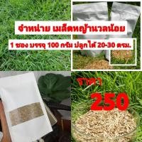 ราคา เมล็ดหญ้าสนาม เมล็ดหญ้านวลน้อย 250 บาท (11800683954)