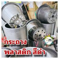 ราคา @ กระถาง กลมดำ ธรรมดา 8-17 นิ้ว// ต้นไม้ พลาสติก เกษตร พืช ผักสวนครัว (18452712544)