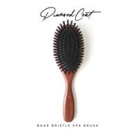 ราคา Diamond Coat แปรงขนสุนัข แปรงขนหมู ด้ามไม้เนียนมือ Boar Bristle Spa Brush ที่สุดของขนเงาเข้าถึงง่าย (23482979253)
