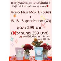 ราคา ✨ #เซตคู่หูระเบิดยอด ขายดีอันดับ 1 ✨ 4-2-5+16-16-16 ถุงใหญ่ (44211028692)