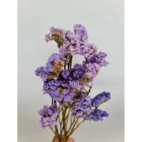 ราคา ดอกสแตติส สแตติสแห้งคละสีเฉดสีม่วงเข้มม่วงอ่อน สแตติสธรรมชาติ ดอกไม้จริง (42820683046)