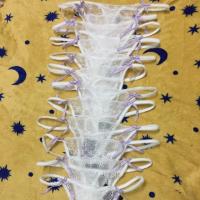 ราคา จีสตริงkyra แท้ 100% M,L,LL (1250363608)