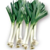 ราคา เมล็ดพันธุ์ กระเทียมต้น กระเทียมต้นก้านแดง (24088813470)