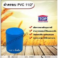 ราคา ฝาครอบ PVC ตรา TOP 11/2”(1นิ้วครึ่ง) ฝาครอบท่อPVC ขนาด 1นิ้วครึ่ง ตัวอุดท่อ ฝาปิดท่อพีวีซี allaboutplants (25607770876)