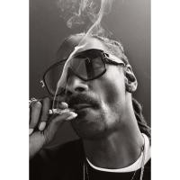 ราคา โปสเตอร์ สนูป ด็อกก์ Snoop Dogg Snoop Lion Poster แร็ปเปอร์ Rapper Hiphop ฮิปฮอป โปสเตอร์ ตกแต่งผนัง Music ตกแต่งบ้าน (4561795724)