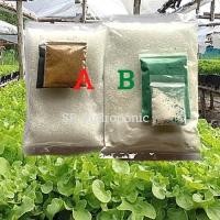 ราคา ปุ๋ยแห้ง AB ผักสลัด/ผักไทยจีน สูตรทนร้อน ชุด 20 ลิตร (8619782768)