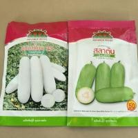 ราคา เมล็ดแฟงแก่(แชมเปี้ยน)แฟงอ่อน(สลาตัน)ฟักแฟง.ให้ผลผลิตสูง (25603123856)