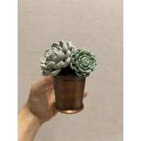 ราคา UsedBath and Body Works Wallflowers Plug ปลั๊กเสียบน้ำหอมปรับอากาศในบ้าน (21758902548)