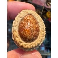 ราคา เบี้ยแก้ รุ่น 2 หลวงปู่คำบุ วัดกุดชมภู จ.อุบลราชธานี ถักเชือก บรรจุปรอท หลังพระนาคปรกเนื้อทองแดง กันแก้คุณไสยดียิ่งนัก (28816030910)