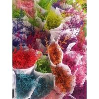 ราคา ดอกแคสเปียร์แห้งหลากสี (8443787404)