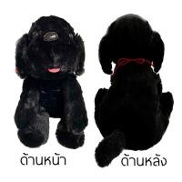ราคา ตุ๊กตา เจ้าเฉาก๊วย สุนัขสีดำพันธุ์ทางเชื้อสายไทย น่ารักตะมุตะมิ มาแล้วฮับ (20384283803)