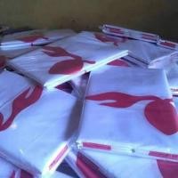 ราคา ธงยิงมะพร้าว 60x90 - ธงซิคาล - ธงลูกเสือ (41422618791)