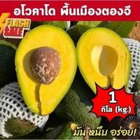 ราคา hot จัดส่งฟรี‼️(1KG) อโวคาโด้ avocado พันธุ์พื้นเมือง อโวคาโด้ อโวคาโด อะโวคาโด้ อะโวคาโด แฮสราชาอโวคาโด้ แฮส อโวคาโด้ (29438698423)