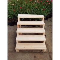 ราคา ั้นไม้วางของ ชั้นวางแคคตัส ชั้นไม้สน 5 ชั้น (17682084402)