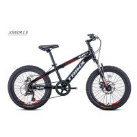 ราคา จักรยานเด็ก 20นิ้ว TRINX รุ่น JUNIOR 1.0 (16283043870)
