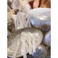 ราคา ช้อนจากเปลือกหอย ทำจากเปลือกหอยธรรมชาติ ขนาด 4 นิ้ว (8813541232)