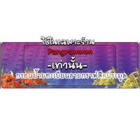 ราคา กรอบป้ายทะเบียนอำนาจเจริญต่อลายแบบยาวสำหรับใส่ป้ายประมูลโดยเฉพาะ จำนวน 1 คู่ หน้าหลังพร้อมอุปกรณ์ติดตั้ง (25062032835)