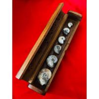 ราคา ยกเซ็ต 6 ตัว + กล่องไม้ฉลุ ฟอสซิลหอย แอมโมไนท์ ฟอสซิล (Ammonite) หอยหายาก แห่งท้องทะเล หอย ขนาดไล่ไซส์(ชิ้นงานนอก) (27668427637)