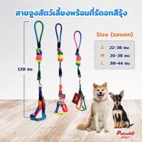 ราคา สายจูงสัตว์เลี้ยงพร้อมที่รัดอก Petsuka สีรุ้ง (6561877070)