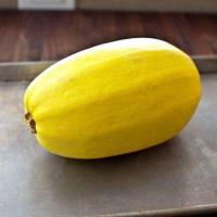 ราคา เมล็ดพันธุ์ ฟักทองสปาเก็ตตี้ - Spaghetti Squash seeds (2298896062)