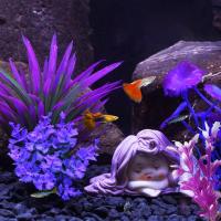 ราคา ของตกแต่งตู้ปลา อุปกรณ์ตู้ปลา ต้นไม้พลาสติก ต้นไม้ปลอม ตกแต่งตู้ปลา ต้นไม้ปลอม (8432228529)