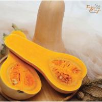 ราคา ฟักทอง ฟักทองญี่ปุ่น บัตเตอร์นัท ผลสด ออร์แกนิค 100% จากฟาร์ม FujiMeiji butternut Squash พร้อมทาน จากฟาร์ม 3kg. (15619287945)
