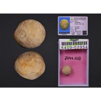 ราคา ลูกอมมหากัน หลวงพ่อคงวัดบางกะพ้อม (10183406989)