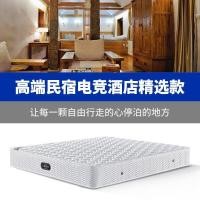 ราคา โรงแรมกระเป๋าอิสระที่นอนโรงแรมดาวที่นอนยางพาราที่นอน2ที่นอน ข & ขที่นอนนุ่มฮาร์ดเล่นเกม FILQ (56551502765)