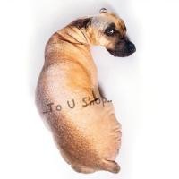 ราคา * สินค้า พร้อมส่ง หมอน 3D น้องหมาหน้าเศร้า (600844741)