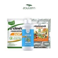 ราคา สวนโสภา - อะมิโนพืช(1ลิตร) + ชาลีเฟรท0-0-50+18(S)(1กก.)+ชาลีเฟรท14-14-21(1กก.) (40616743943)