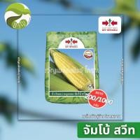 ราคา จัมโบ้สวีท เมล็ดพันธุ์ ข้าวโพด หวาน ตรา ศรแดง (12476522672)