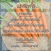 ราคา ♠☼▽เมล็ดพันธุ์ แครอทจิ๋ว แครอทเบบี้ 2000เมล็ด LittleFingers CarrotSeed เมล็ดพันธุ์แท้ นำเข้าจากต่างประเทศ ปลูกผักสวนครัว (5193722874)