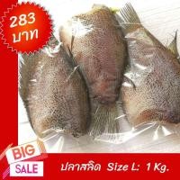 ราคา ปลาสลิดบางบ่อ แดดเดียว 1 Kg. ไซส์ 5-7 ตัวโล ไอเทมที่ต้องมีเมื่อกักตัว สะอาด ไร้กลิ่น แพคสุญญากาศ ส่งแบบรักษาอุณหภูมิ (3181633705)