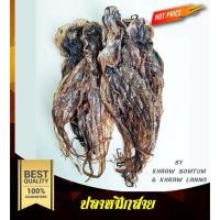 ราคา ปลาหมึกสาย ปลาหมึกสายหวาน หมึกสาย (25568833582)