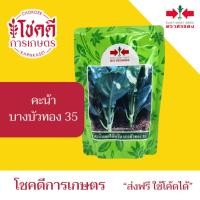 ราคา คะน้า บางบัวทอง เมล็ดพันธุ์ คะน้า ตรา ศรแดง บรรจุ 500/100 กรัม (ล๊อตใหม่บรรจุใส่ถุง) (51150731951)