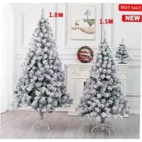 ราคา ต้นคริสต์มาสหิมะหางกระรอก (24600486811)