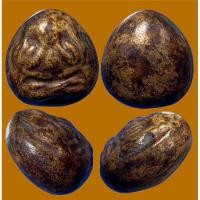 ราคา พระปิดตาสายชลบุรี เนื้อผงคลุกรักหลังเบี้ย พิมพ์เล็ก สภาพสวยเดิม (24704119817)