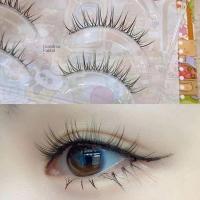 ราคา สไตล์เกาหลีขนตาปลอม Desire สมจริงแฟชั่นตุ๊กตาบาร์บี้สาวทุกวันสบาย Fine Pure โปร่งใส Stem Integrated Fairy fk02 ผม tnn Light Pseudo-Face QOAT (50351712606)