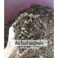 ราคา ดินใบก้ามปูหมักแบบผสมพร้อมปลูก 1 กิโลกรัม (10713111323)