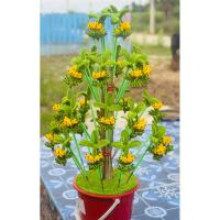 ราคา ก้านกฐินต้นกล้วย จากลวดกำมะหยี่ (46101251761)